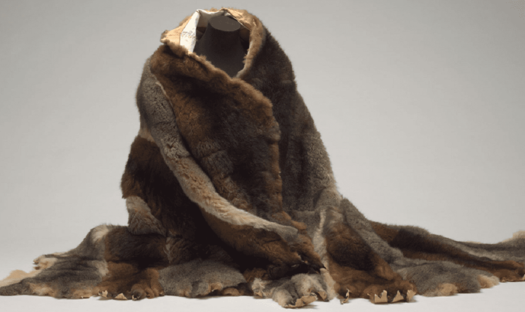 Picture of Possum cloak in the page The wonder of exploration